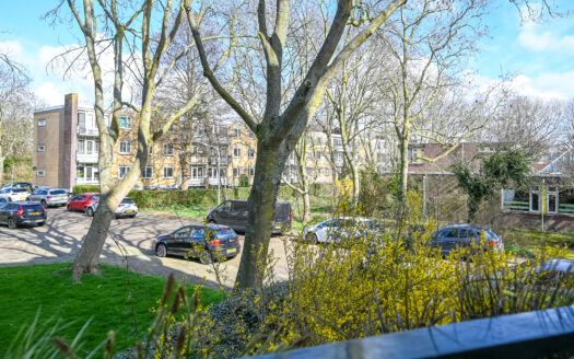 Boutique Space Greenville