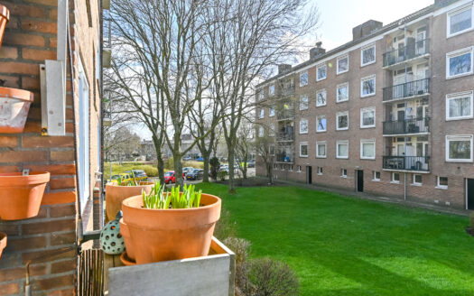 Boutique Space Greenville