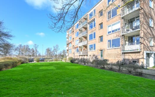 Boutique Space Greenville