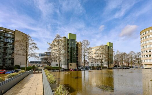 Boutique Space Greenville